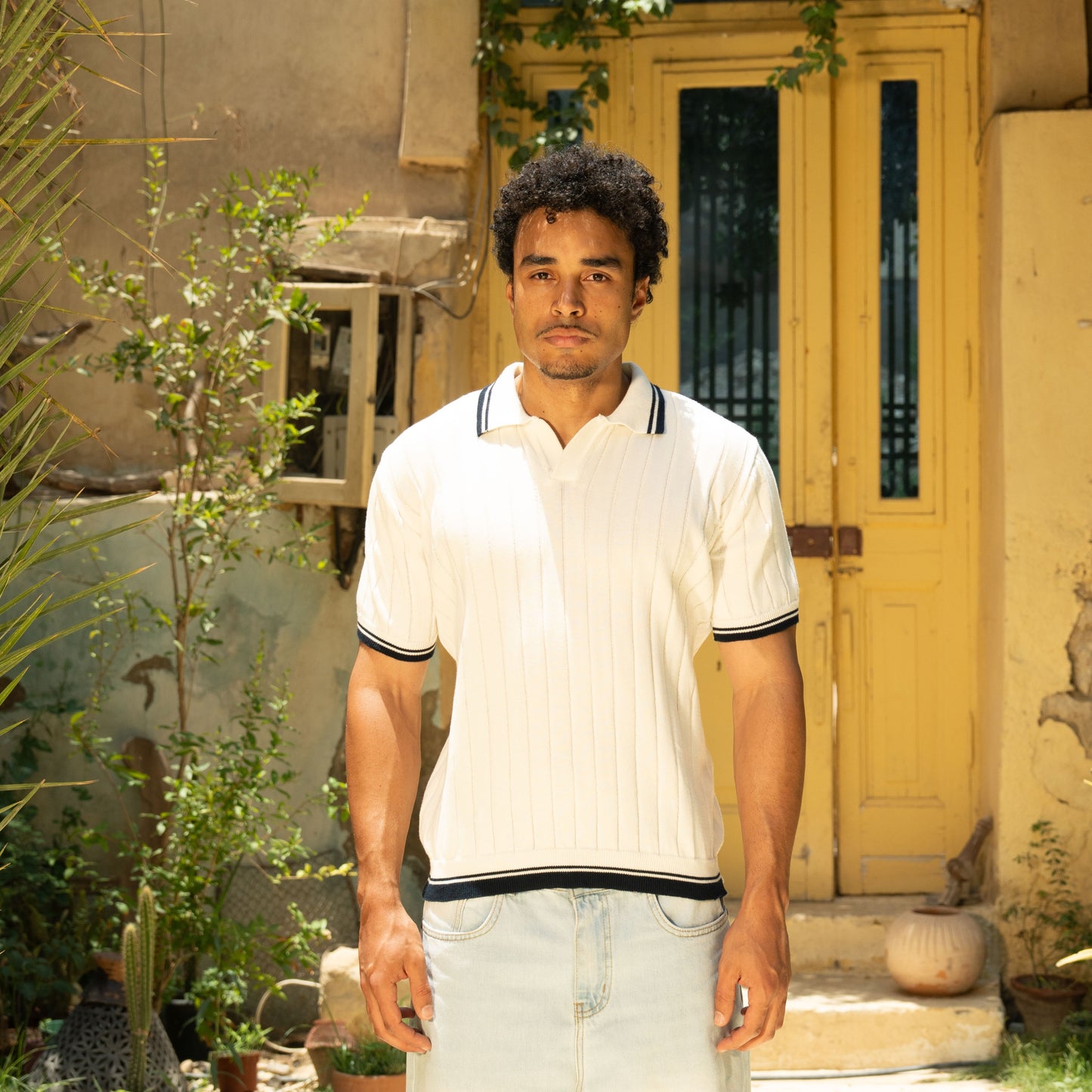 knit polo